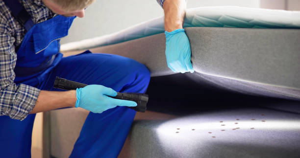 Best Best Pest Control Companies  in Clarksville, IN